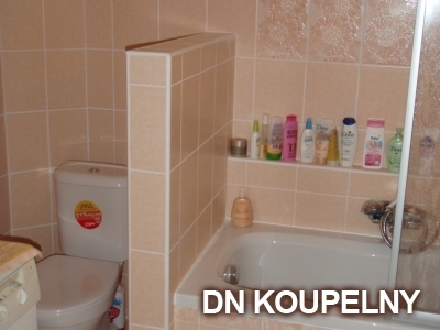 1-154-rekonstrukce-koupelny-1-small.jpg
