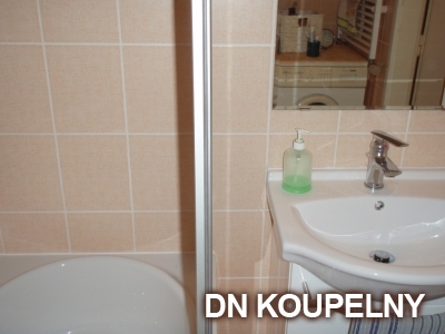 1-66-rekonstrukce-koupelny-1