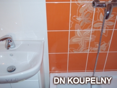 1-98-rekonstrukce-koupelny-1