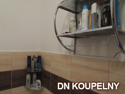 28-600-rekonstrukce-male-koupelny-inspirace-ostrava-small.jpg