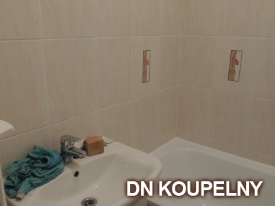 55-775-koupelna-bez-bourani-ostrava